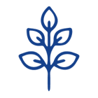 Leaf Icon