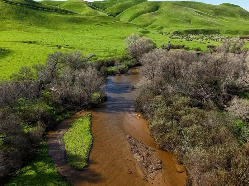 Small creek running through grassy hills with leafless trees lining the water.