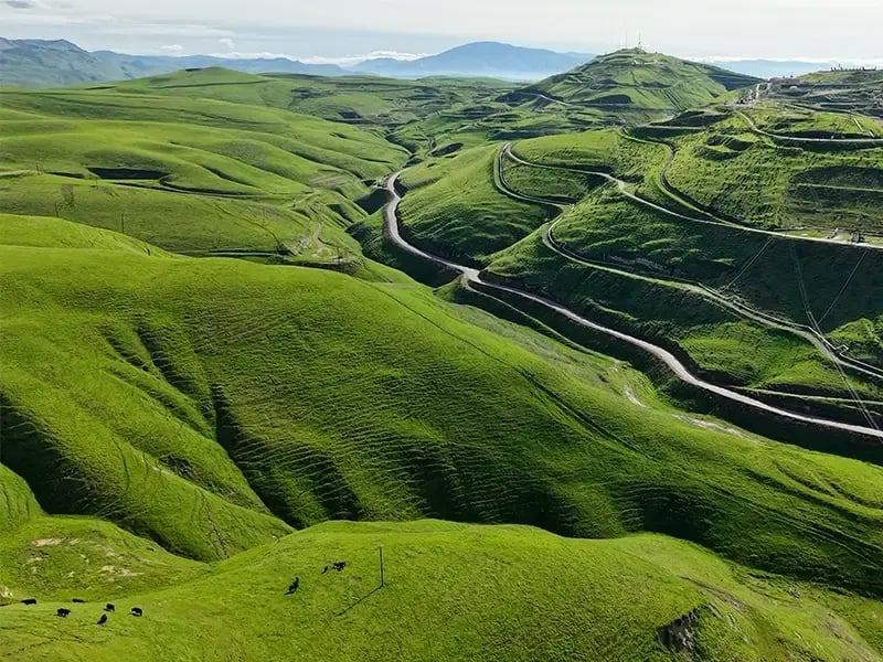 Green hills with long roads.