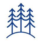 Tree Icon